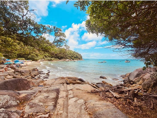 a841ec94-a50c-4ef7-ae79-9394bfd8da85.jfif