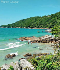 cd000ad5-be9c-4848-b5da-f89575137afe.jfif