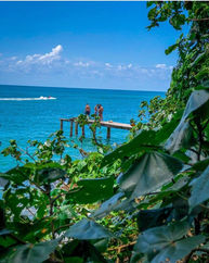 70a38ff7-9c51-40ef-965f-42afc7d2b85d.jfif