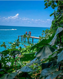 70a38ff7-9c51-40ef-965f-42afc7d2b85d.jfif