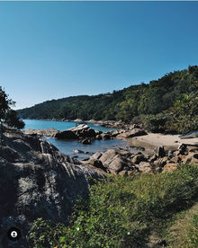 c1899697-c2cf-4974-b155-db98ba29a2e5.jfif