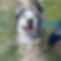 image11.jpeg