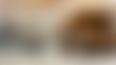 Breaking the Silo: What Crisis Management Professionals Can Learn from Other Industries