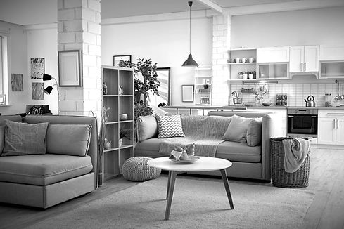 Stylish apartment interior with modern kitchen_edited.jpg