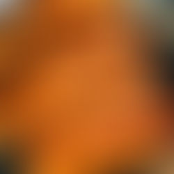 Explaining the "Process"