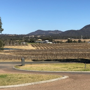 Hunter Terroir - Defining a Unique Region and Wine Style