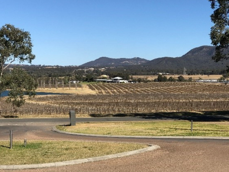 Hunter Terroir - Defining a Unique Region and Wine Style