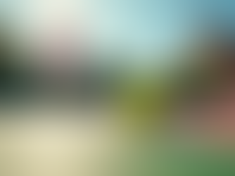 Invest in the Future of Padel and Pickleball