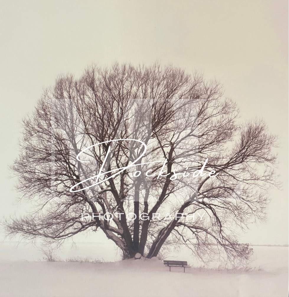 Solitude