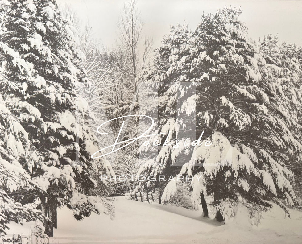 Winters Pass