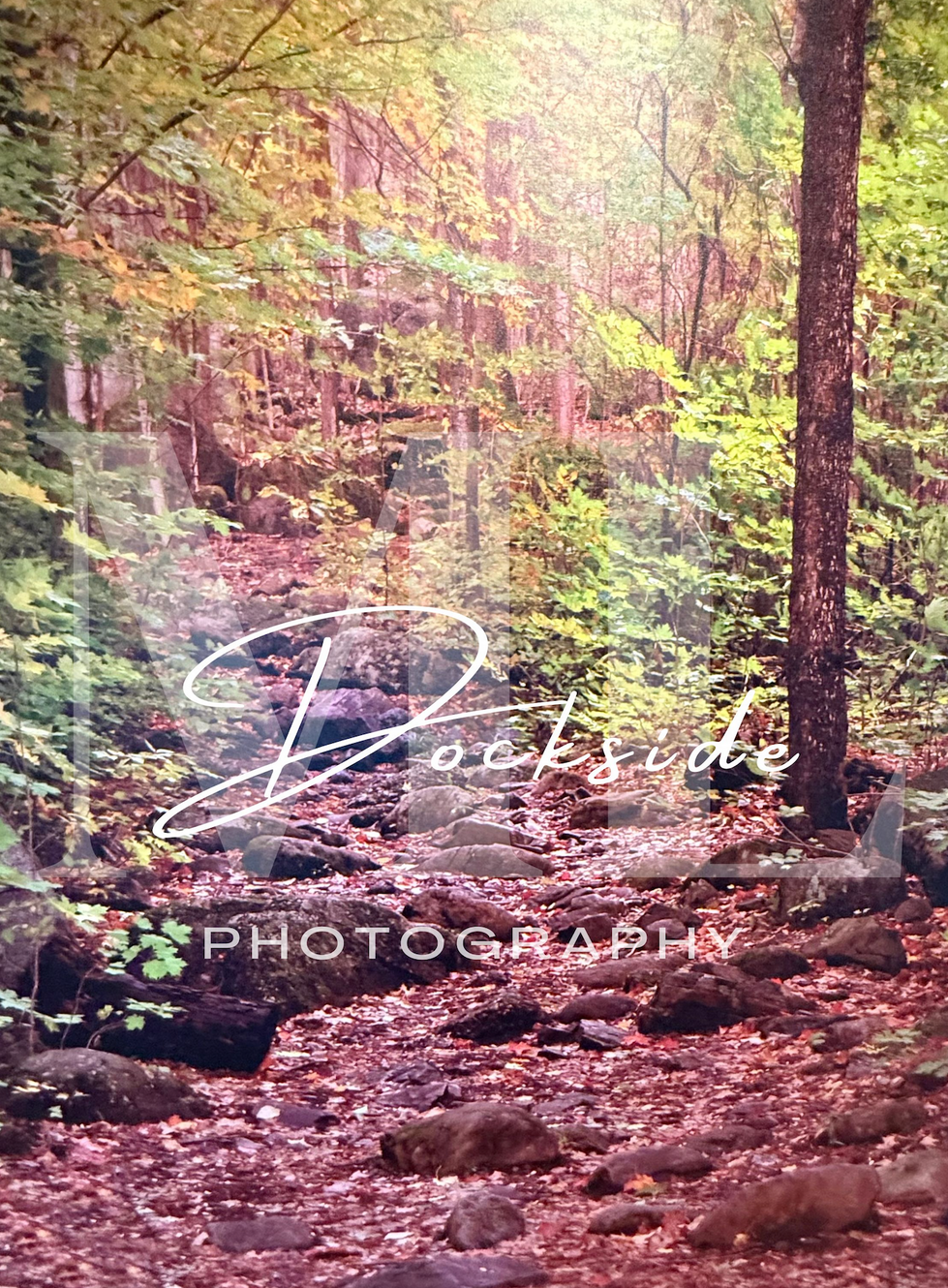 Fall trail
