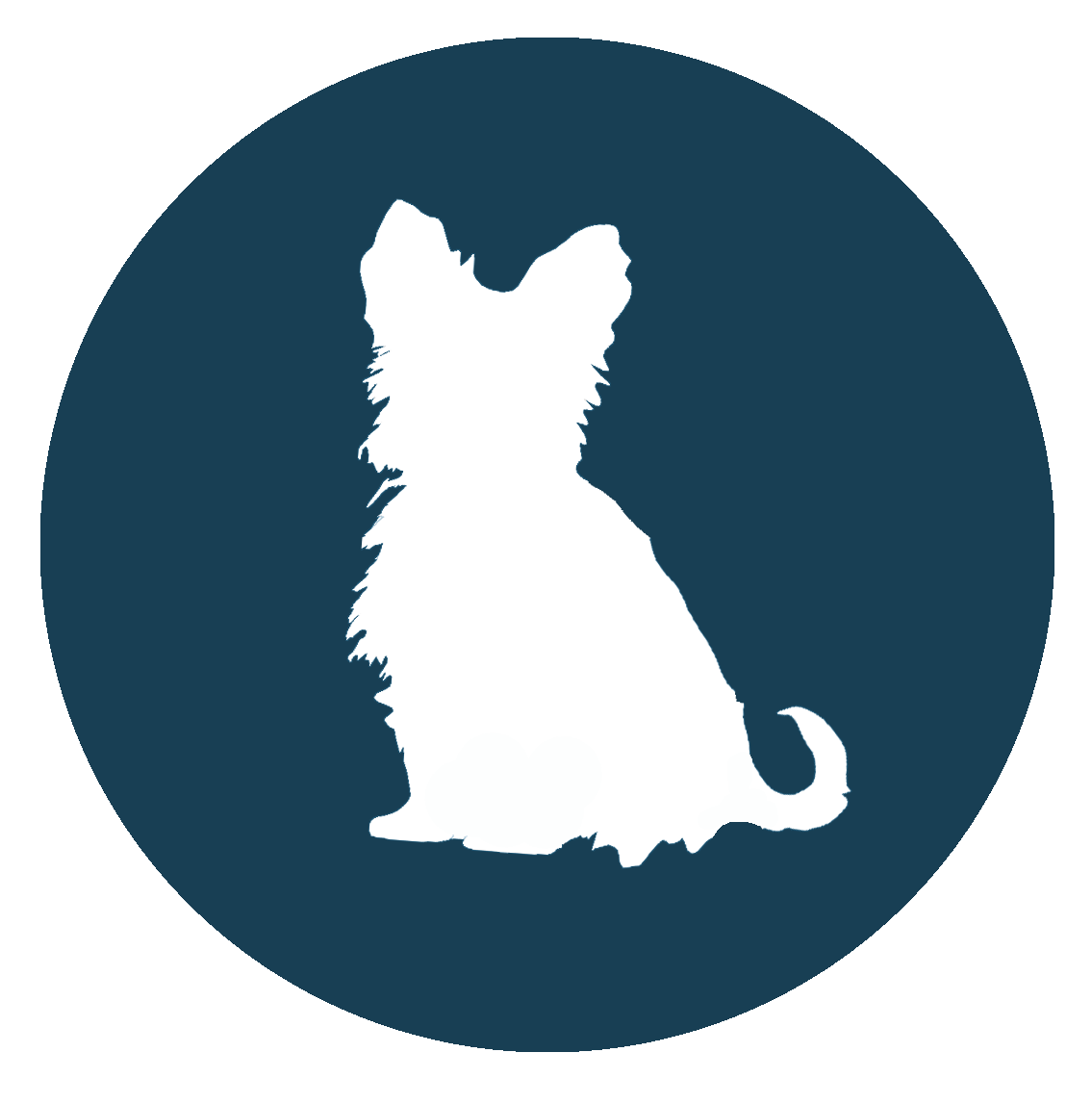 Almost Home Doggie Daycare