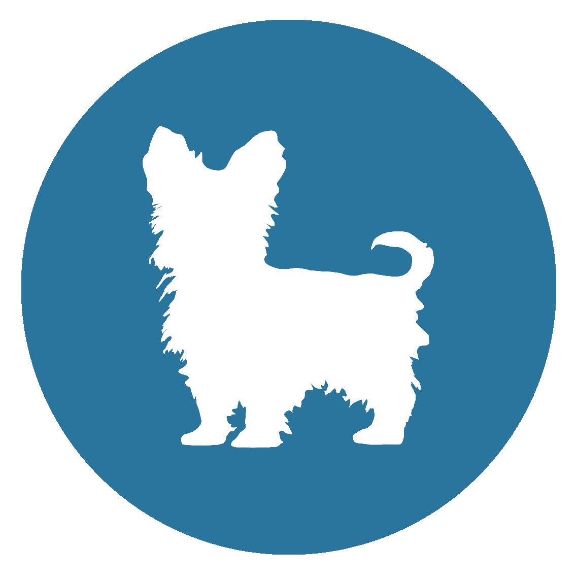 Almost Home Doggie Daycare