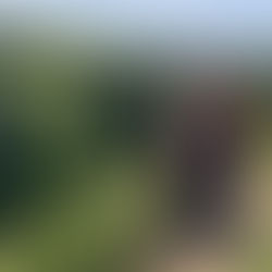 Mina kui oma laste spordiliikumise suurim eeskuju