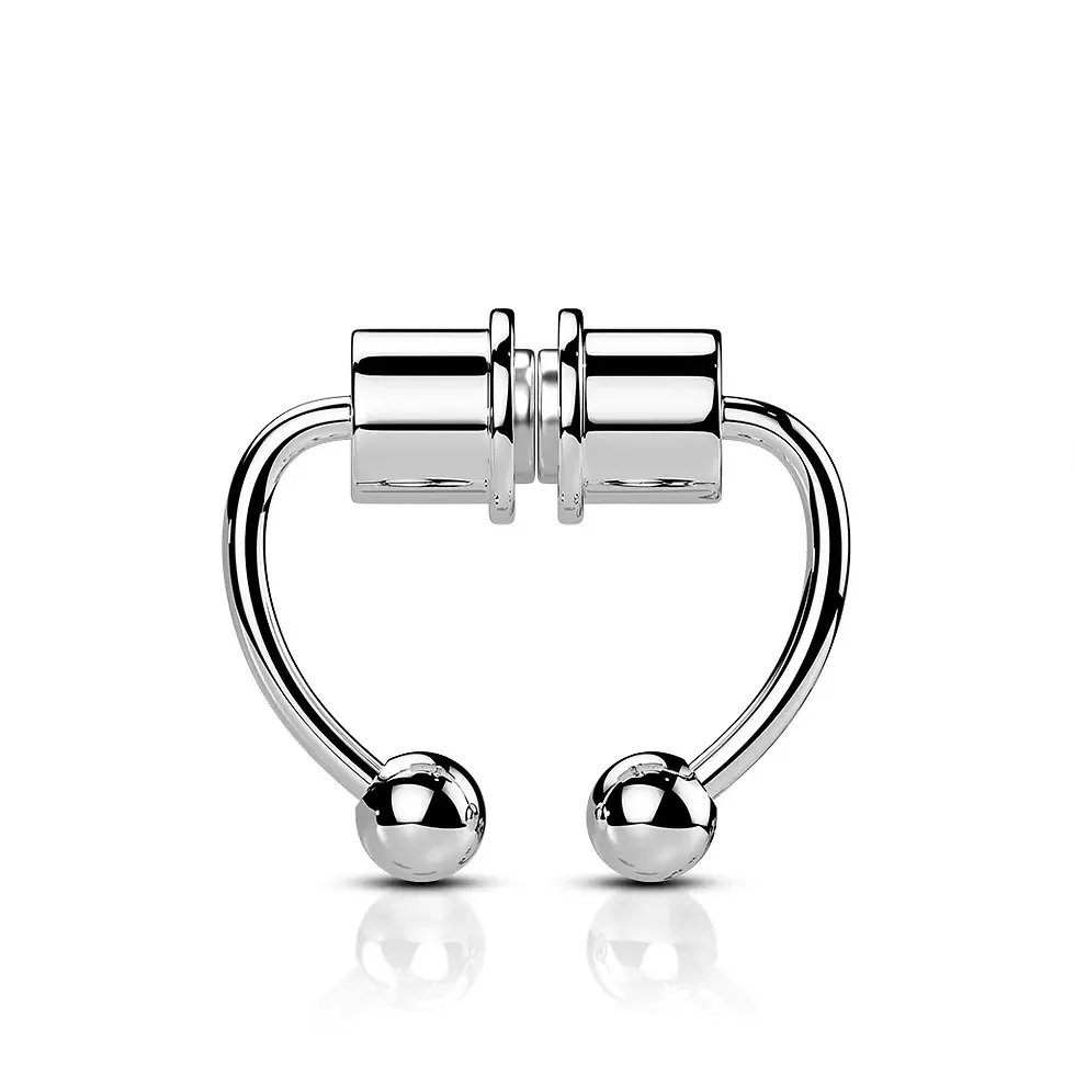 Faux Silver Horseshoe