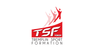 TSF.png