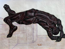 Nudo Colpito Da Dietro