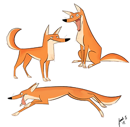 dingostagram.png