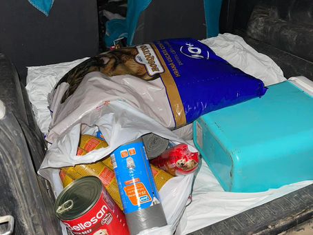 Mulțumesc losub Vicrica