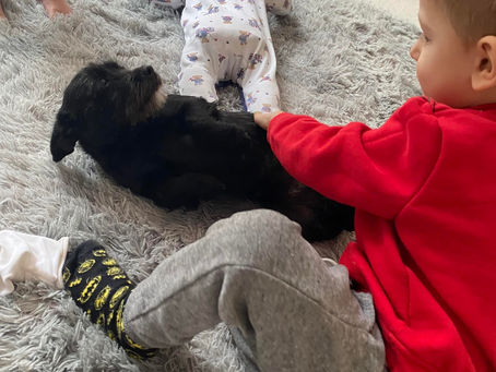 Lexie found her forever home