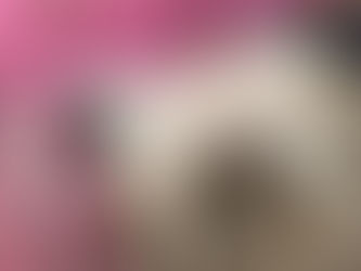 Cookie then, Cookie now