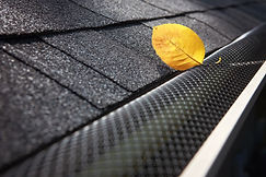 Plastic guard over gutter on a roof with a leaf stuck on the outside.jpg