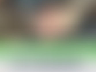 【澳洲房产】突发! 政府突然出手! 首付1%时代要来了吗? 房价要爆还是要崩? 一个大坑正等着首次置业者去踩! 澳洲低于100万的好房子即将消失!【澳房策383】