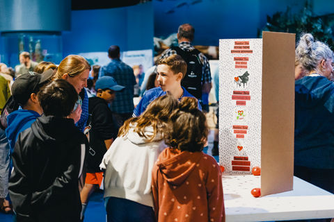 student presentation