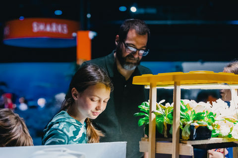 student presentation