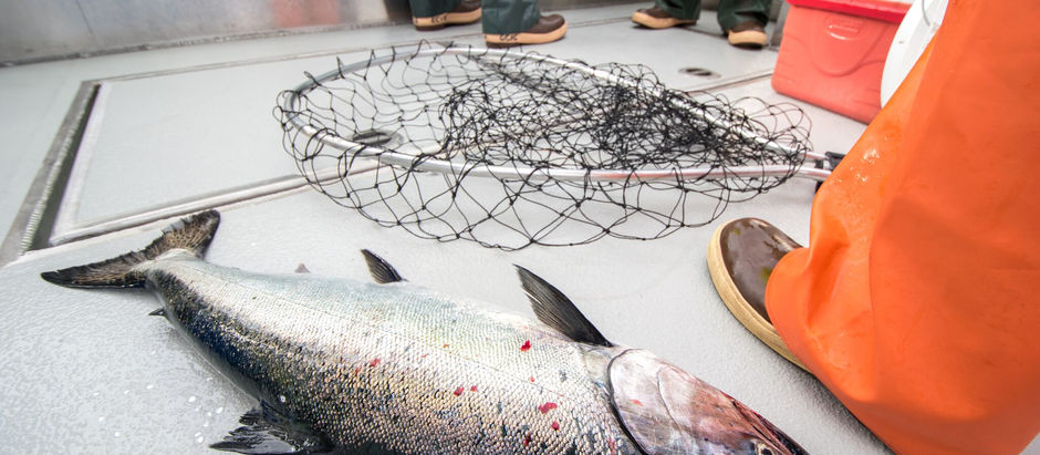 2017 Southeast Alaska Sport Fishing Regulations