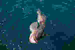 halibut fishing charters sitka alaska, sitka fishing charters
