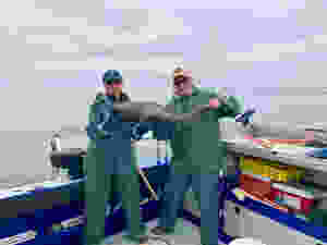 black cod alaska