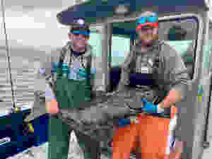halibut fishing sitka Alaska