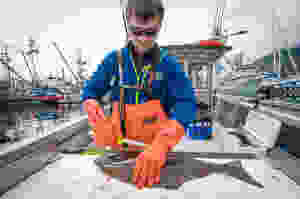 sitka fishing charters, sitka alaska fishing, sitka fishing lodges, sitka alaska fishing lodges, sitka alaska fishing charters
