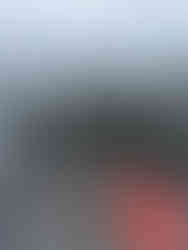 Group of guests posing with their catch in front of an Alaska fishing lodge after a successful day on the water.