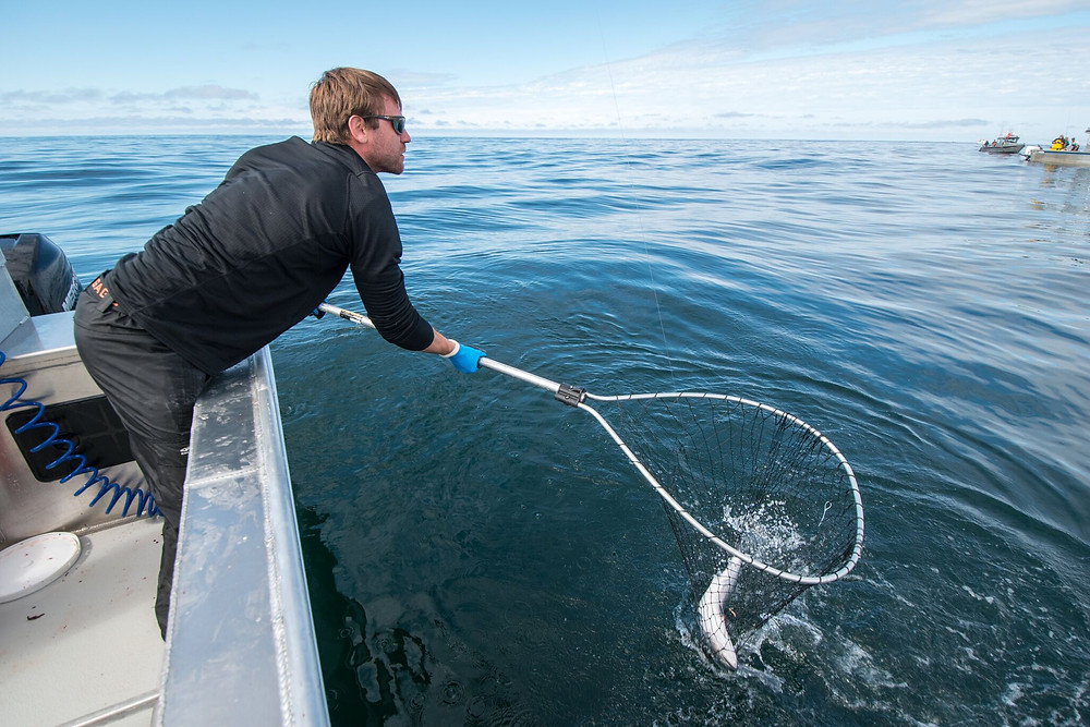 Sitka fishing charters