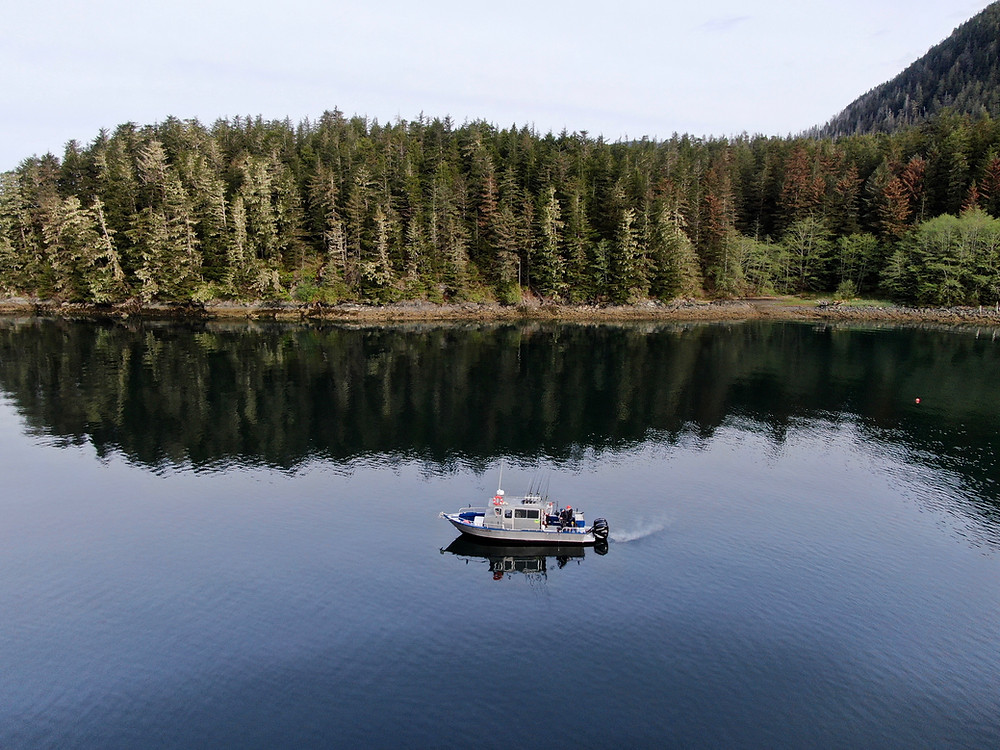 fishing guides in sitka, alaska
