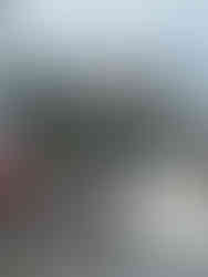 Group of guests posing with their catch in front of an Alaska fishing lodge after a successful day on the water.