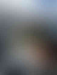 Group of fishermen showing off their catch from a Sitka Alaska fishing adventure