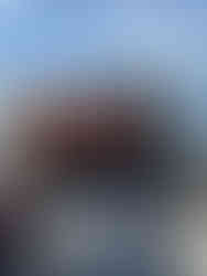 Group of guests posing with their catch in front of an Alaska fishing lodge after a successful day on the water.