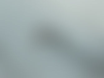 Keep Calm & Carry on Birding