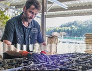 Screen%20Shot%202021-02-02%20at%2012.46_