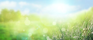 AdobeStock_194313063.jpeg