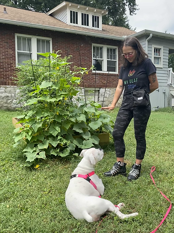 The cooperative canine Lauren Profile Pic.HEIC