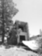 Andina Patagonico #4