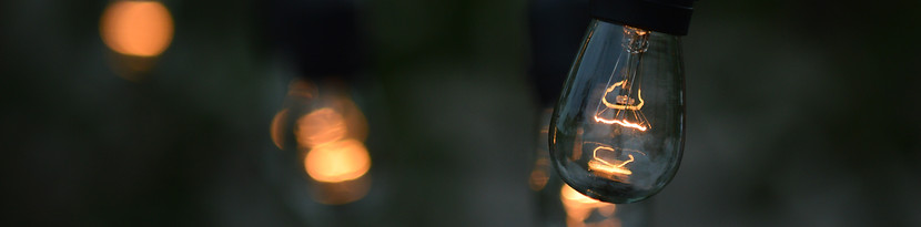 7 Bulbs 2.jpg