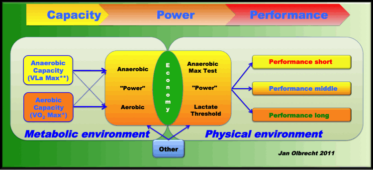 Olbrecht_model_physical_performance_02b.gif