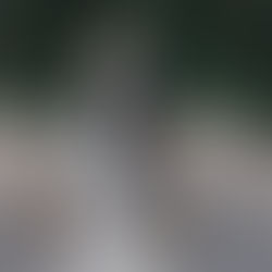 Wedding Planner vs Wedding Coordinator: Roles, Costs, and More