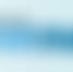 How you can support your local Business