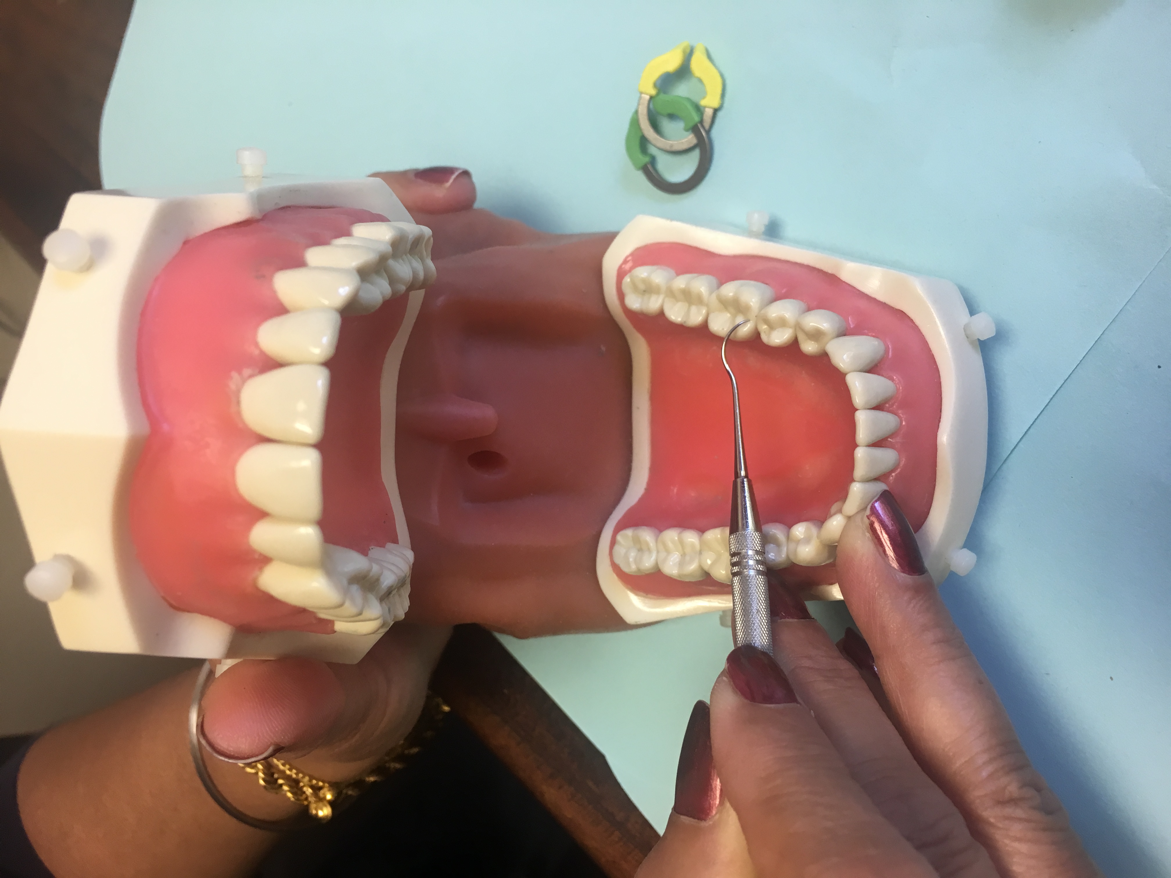 Dental Bench Test United States